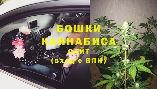 mdpv Белокуриха