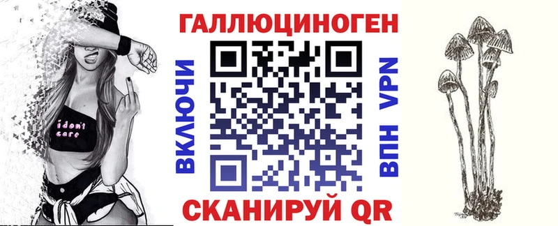 где можно купить   Кочубеевское  Псилоцибиновые грибы прущие грибы 